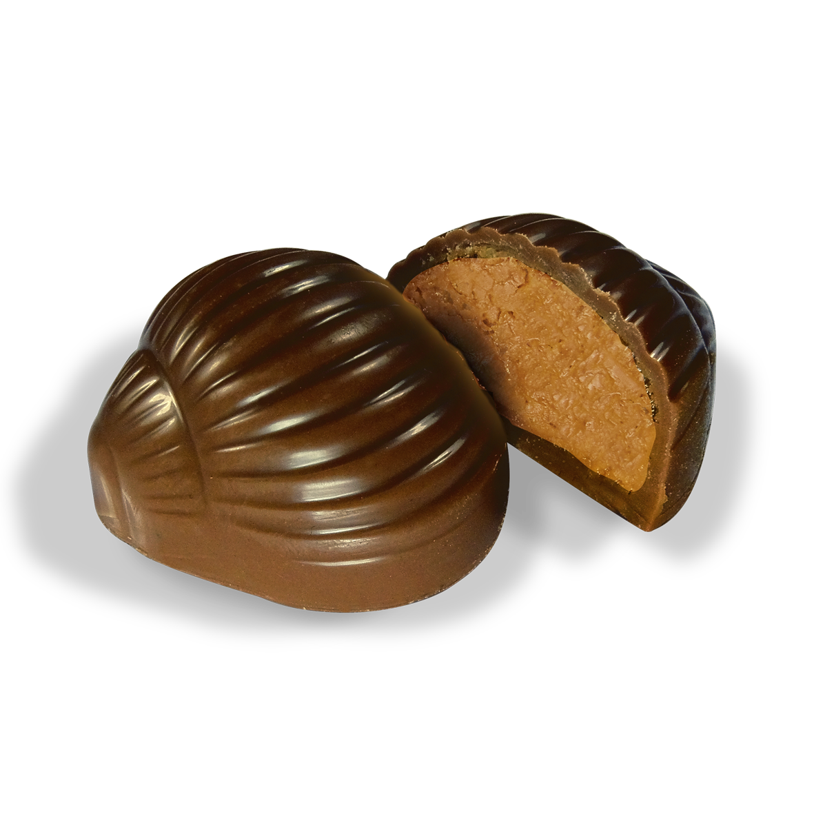 Saveurs & Nature -- Escargots praliné enrobés de chocolat noir bio Vrac - 54 pièces