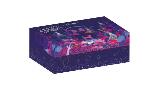 Pré-commandes noël Boite biscuits aux épices de noël bio - 1