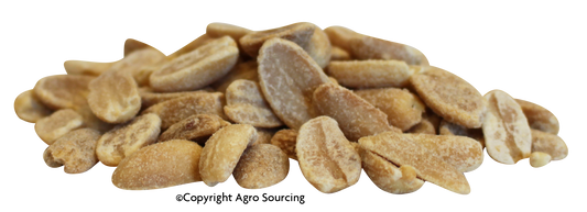 Agrosourcing -- Cacahuètes grillées bio Vrac - 5 kg x 2