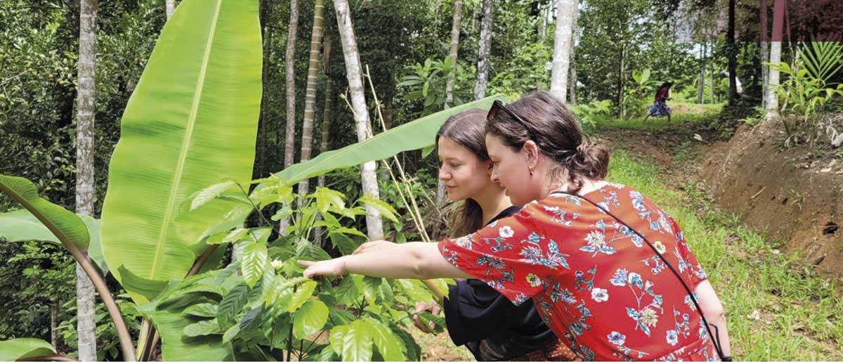 Bio Reportage Biodyssée : du sourcing et de bons produits bio à juste prix