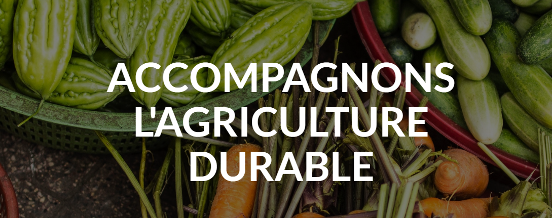 BioDemain, marque qui accompagne les agriculteurs en transition bio