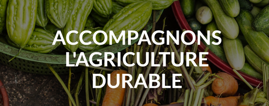 BioDemain, marque qui accompagne les agriculteurs en transition bio