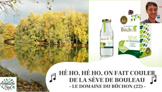 Denis Cléro - Domaine du Bûchon - Comment faire couler la sève de bouleau et la récolter ?