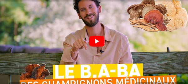 Vidéos de formation French Mush