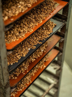 Monsieur Muesli, les arguments à connaître