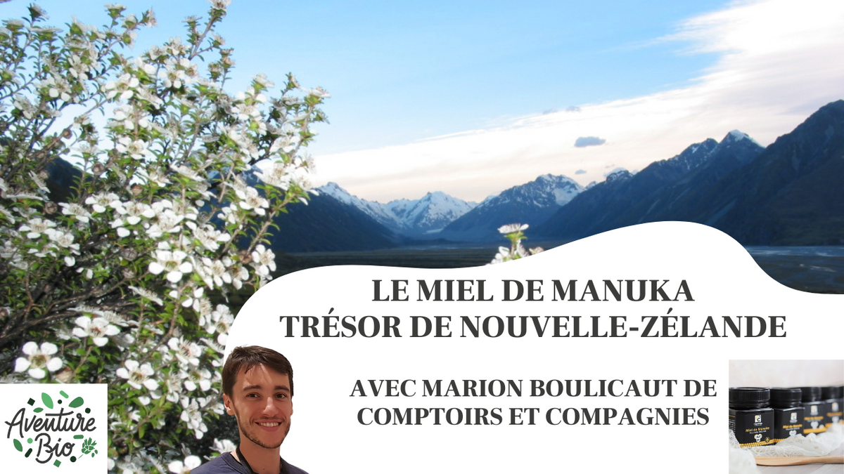 Le Miel de Manuka - Trésor bio de Nouvelle-Zélande - Comptoirs et Compagnies