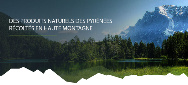 [INTERVIEW] Avec Abies Lagrimus, Claude relance le Sirop de sapin des Pyrénées (recette ancestrale).