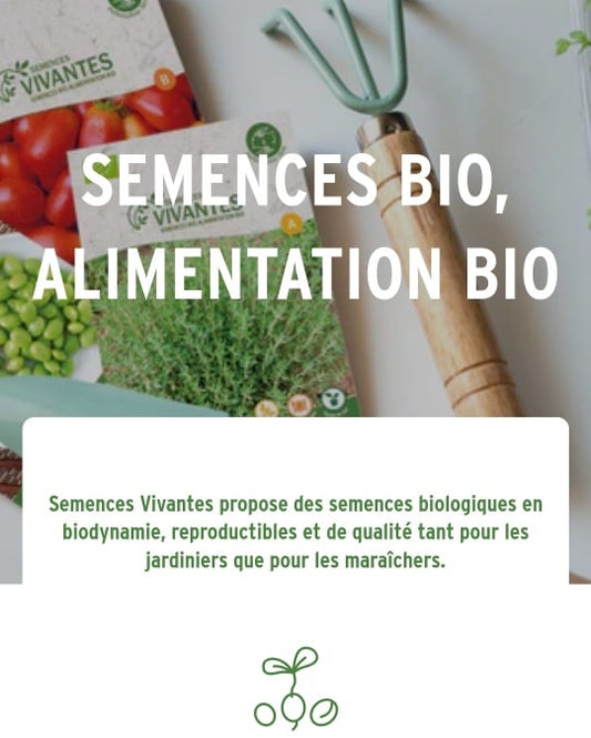 Conseil sur les semis printemps/été