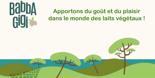 [INTERVIEW] Thomas, fondateur de BABBAGIGI : boisson végétale à La Noix Tigrée