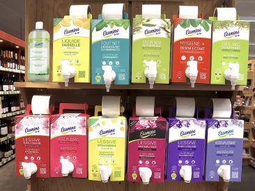 Recommandations d'implantation Etamine du Lys