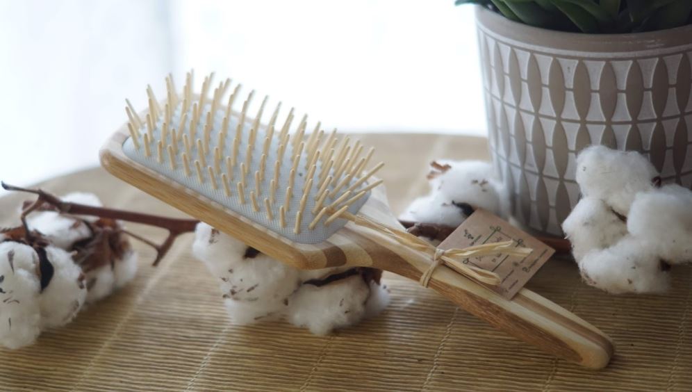 Cap Bambou : Des alternatives naturelles aux produits en plastique