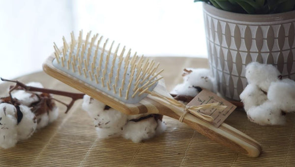 Cap Bambou : Des alternatives naturelles aux produits en plastique