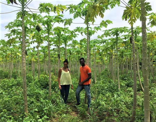 Les fondatrices de Sahélia : des fruits bio importés du Burkina Faso.