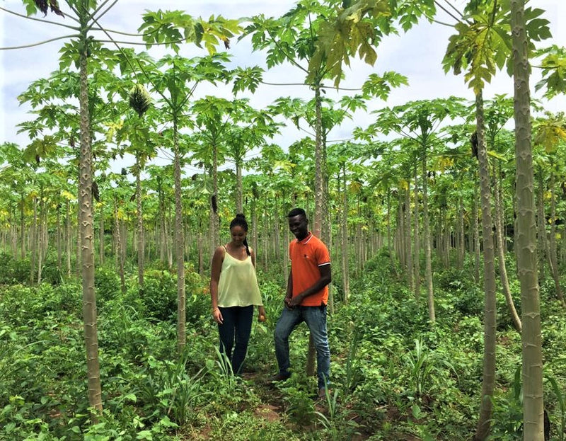 Les fondatrices de Sahélia : des fruits bio importés du Burkina Faso.