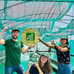 Recommandations d'implantation Etika Spirulina