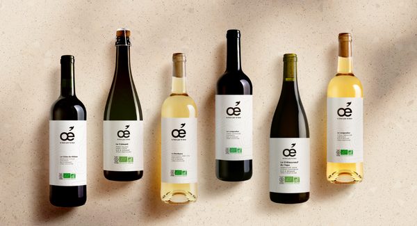 Oé, notre pépite pour votre cave à vin