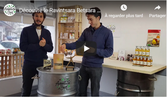 [Vidéo] - Rencontre avec Tristan Imbert, fondateur de Betsara (Ravintsara)