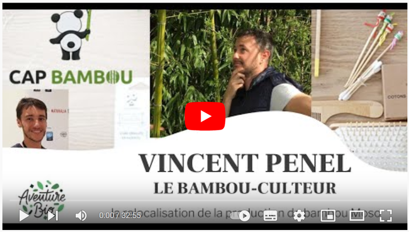 Vincent Penel - Cap Bambou - la plante de la résilience climatique ?