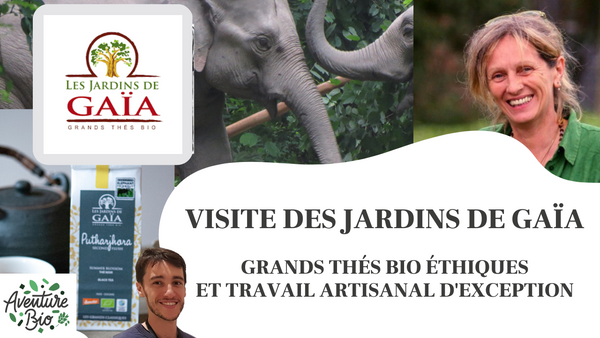 Arlette Rohmer -- Jardins de Gaïa - Visite de l'atelier des thés !