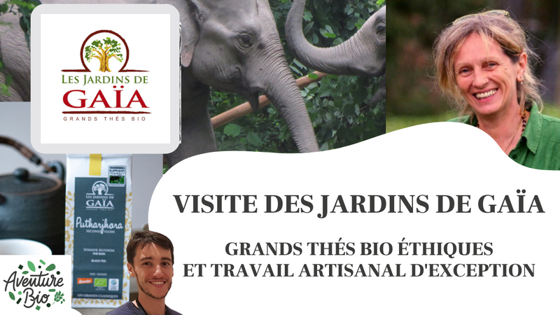 Arlette Rohmer -- Jardins de Gaïa - Visite de l'atelier des thés !