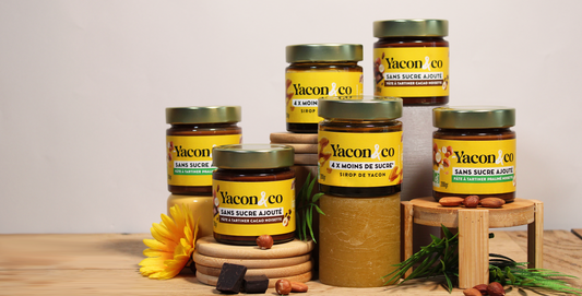 Yacon & Co (Grossiste)