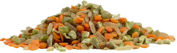 Autour Du Riz -- Mélange protéiné mix veggie bio (riz lentilles boulgour) Vrac - 10 Kg