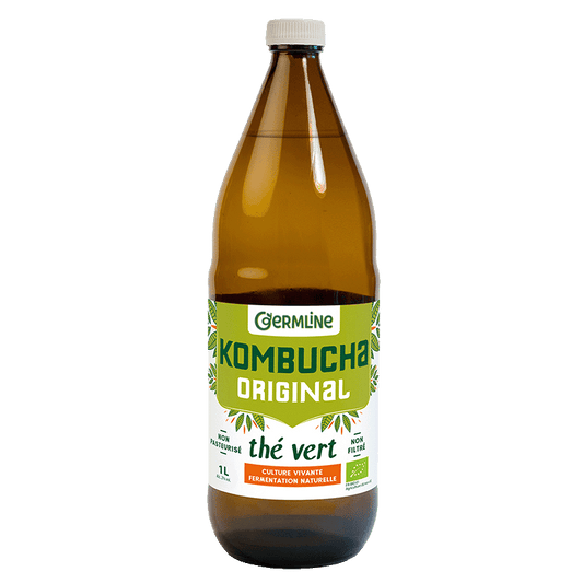 Germline -- Kombucha original bio - 1 l x 6
