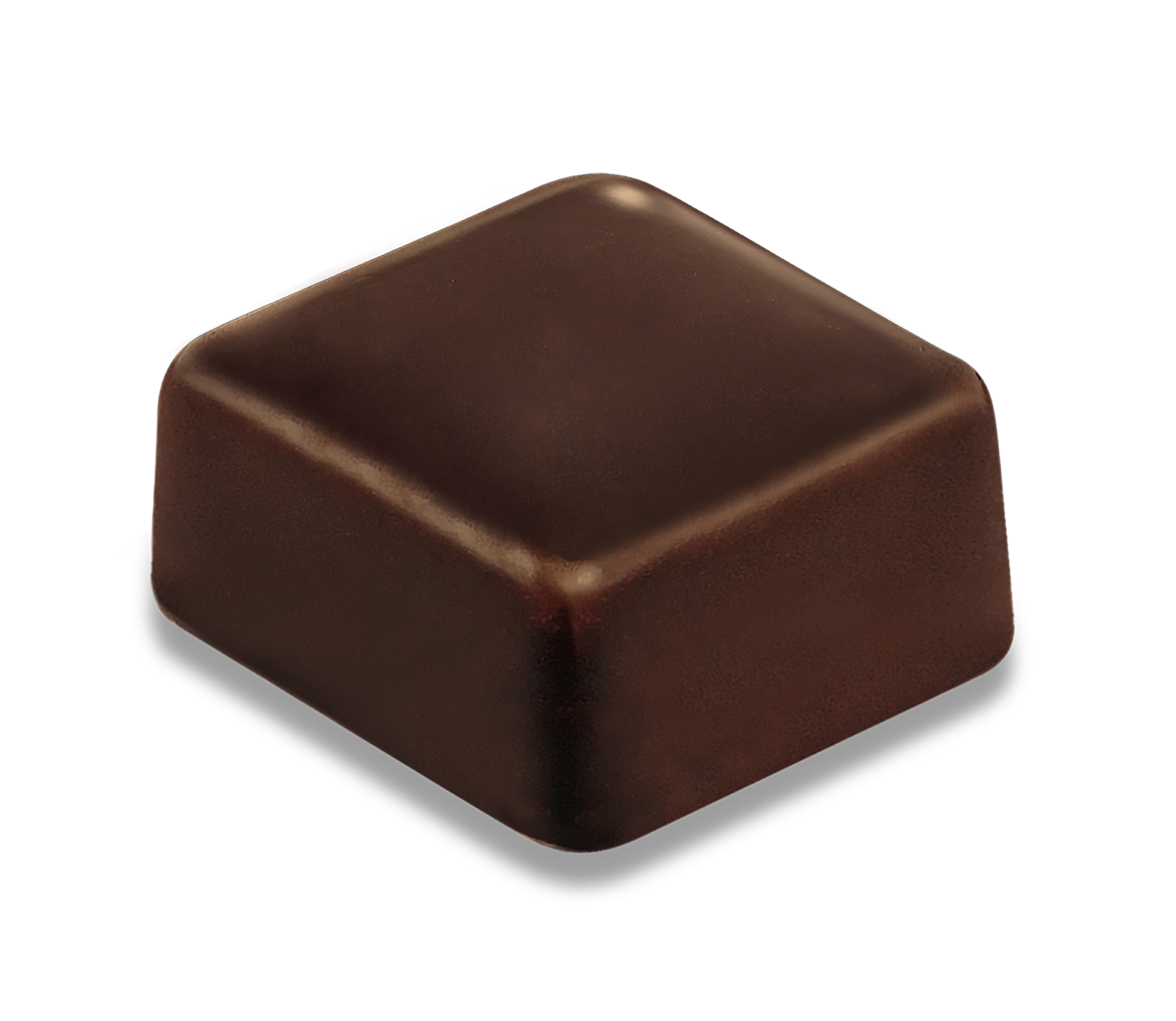 Saveurs & Nature -- Pré-commandes noël Bonbon de chocolat au caramel à la fleur de sel enrobé de chocolat noir bio Vrac - 500 g