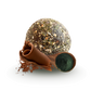 Balls bio protéinées cacao spiruline (prêt à vendre) - 3