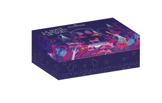 Boite biscuits aux épices de noël bio - 1