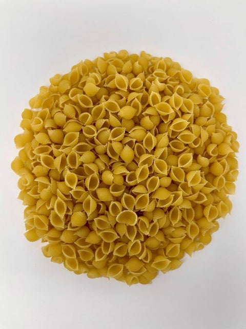 Conchiglie blé blanc bio  - 1