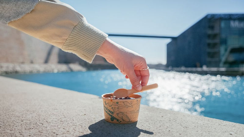 Cuillère à croquer saveur vanille bio (prêt à vendre) - 3