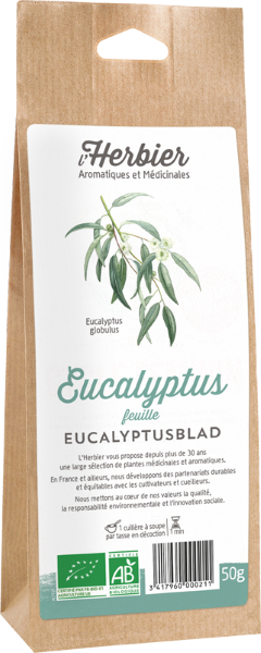 Feuilles d'eucalyptus bio - 1