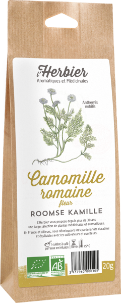 Fleur de camomille romaine bio - 1