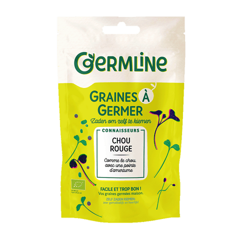 Germline -- Graines à germer chou rouge bio (origine Italie) - 100 g