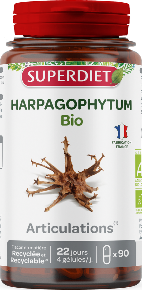 Harpagophytum bio - 1