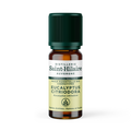 Huile essentielle d'eucalyptus citronné bio ffl - 1