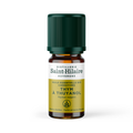 Huile essentielle de thym thuyanol bio - 1