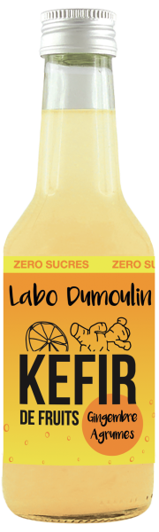 Kéfir gingembre agrumes bio (non pasteurisé) - 1