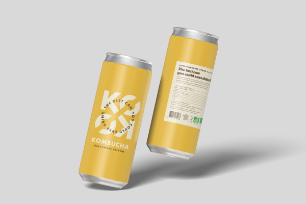 Kombucha bio gingembre citron - 1