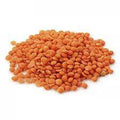 Lentilles corail entières bio - 1