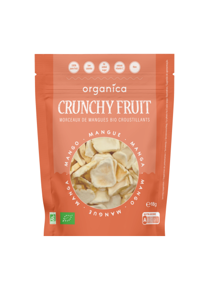 Morceaux de mangues biologiques lyophilisées - 1