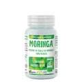 Moringa folioles bio - 1