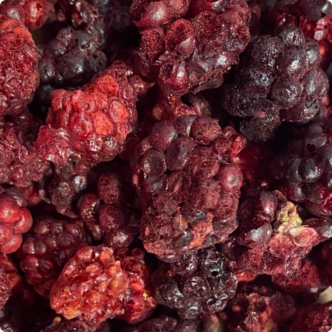 Mures entières biologiques lyophilisées - 2