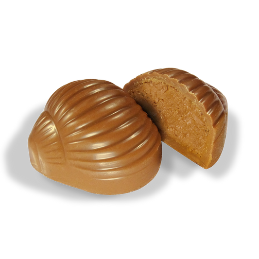 Saveurs & Nature -- Escargots praliné enrobés de chocolat au lait bio Vrac - 54 pièces