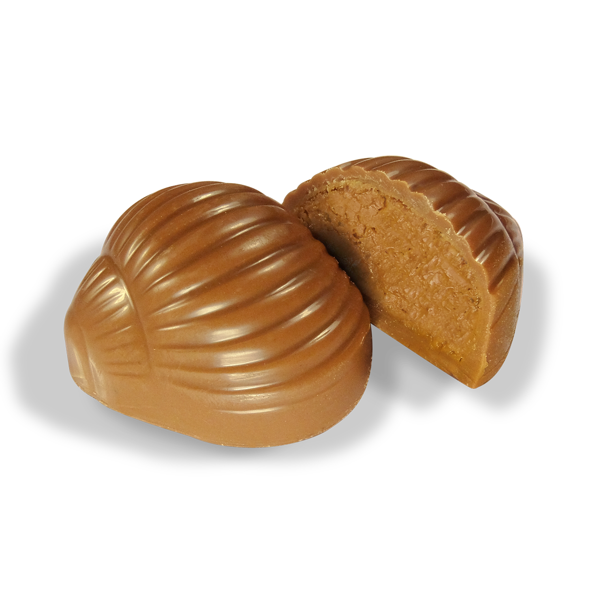 Saveurs & Nature -- Escargots praliné enrobés de chocolat au lait bio Vrac - 54 pièces