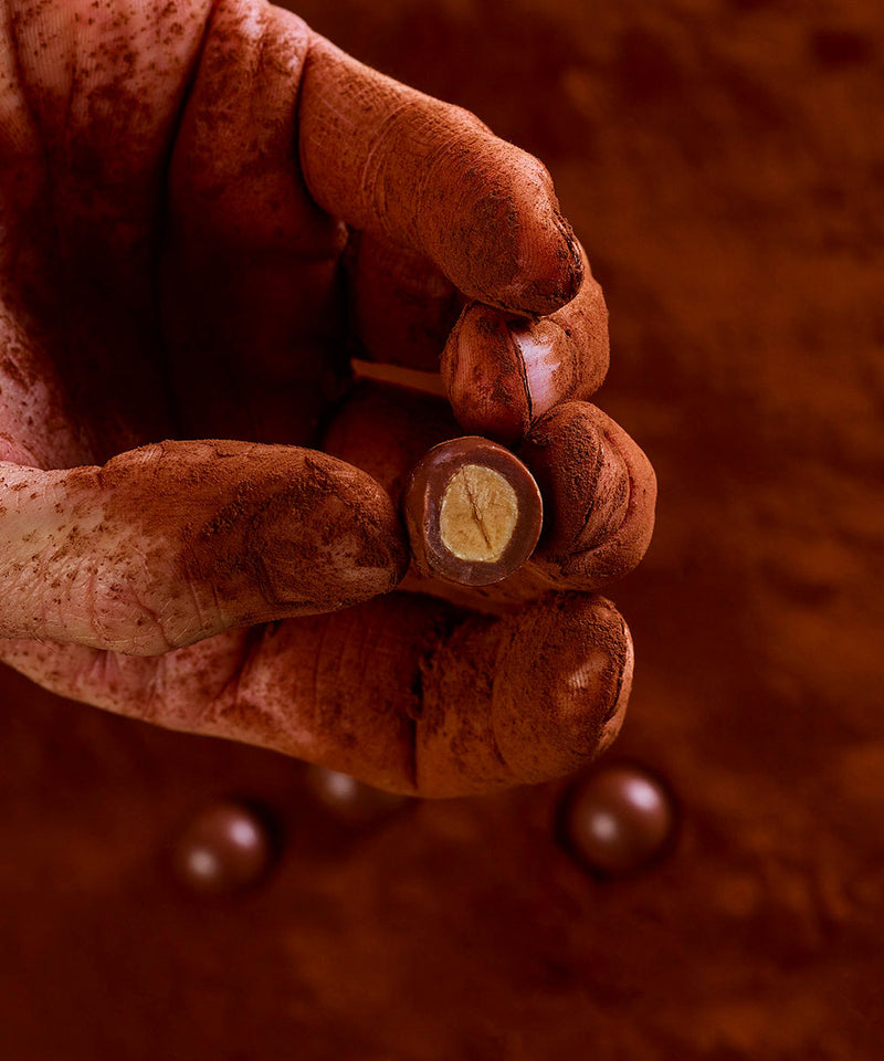 Noisettes chocolat au lait bio - 3