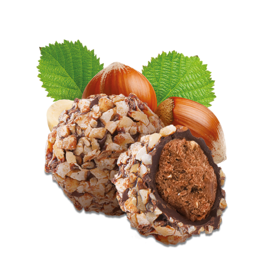 Pré-commandes noël Truffes praliné noisette enrobées de chocolat noir bio - 1