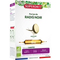 Radis noir bio (allié du foie) - 1