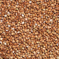 Sarrasin décortiqué bio - 1